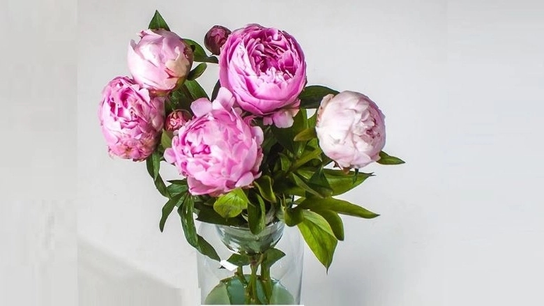 فروش دسته گل و باکس گل در مشهد
