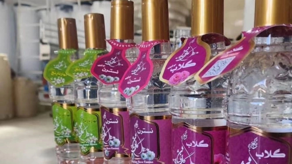 گلاب جهان بهاره گل افشان