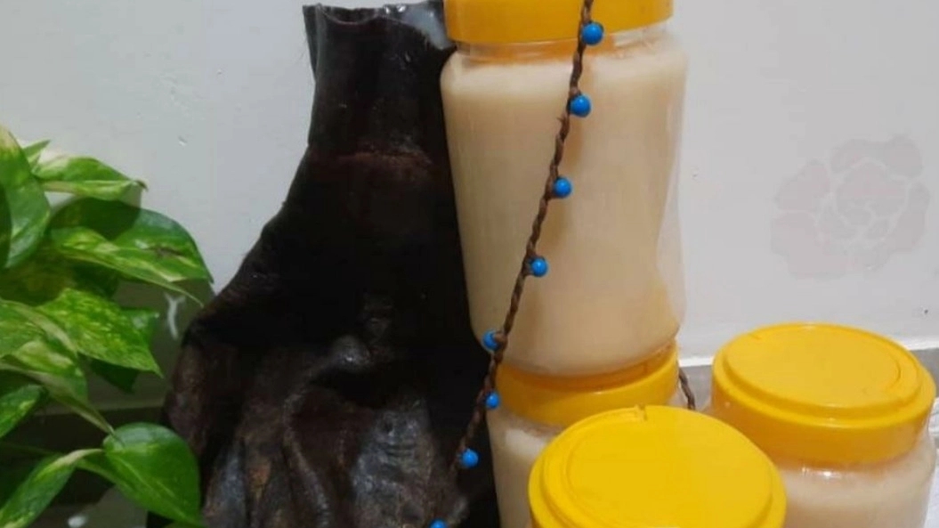 روغن حیوانی گوسفندی بهتر است یا گاوی؟ مقایسه کامل