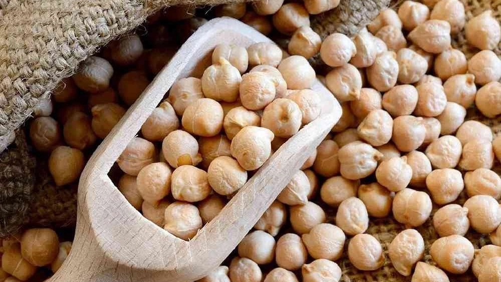 فروش عمده و صادرات نخود سفید در همدان