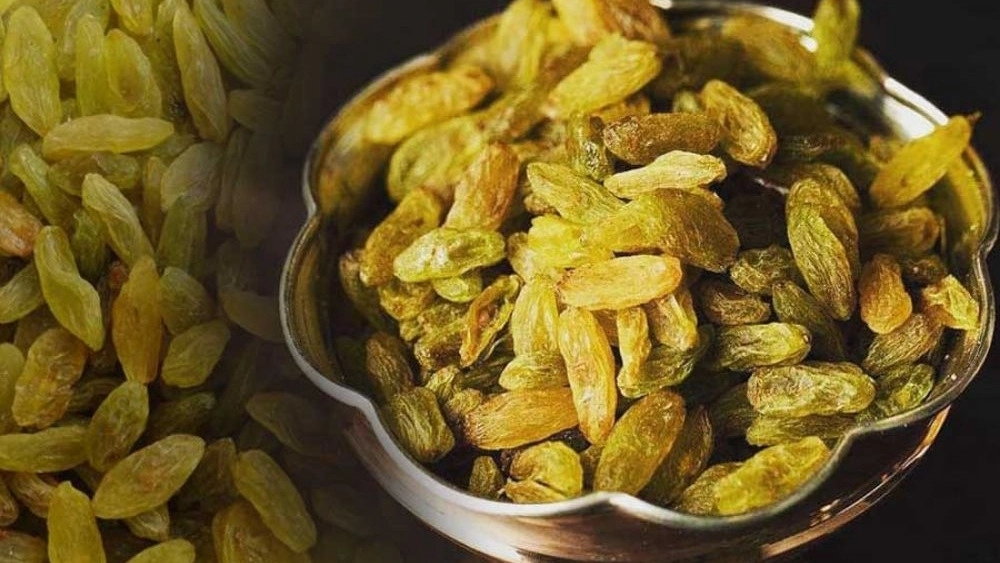 فراسیناپس، فروش عمده و صادرات کشمش و مویز در کاشمر خراسان رضوی