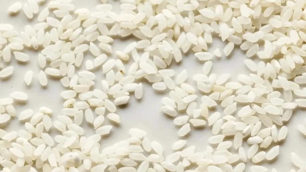 تولید برنج محلی عنبربو