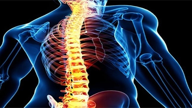 دکتر عباس رحیمیان، جراح ستون فقرات و فوق تخصص ارتوپدی در تهران