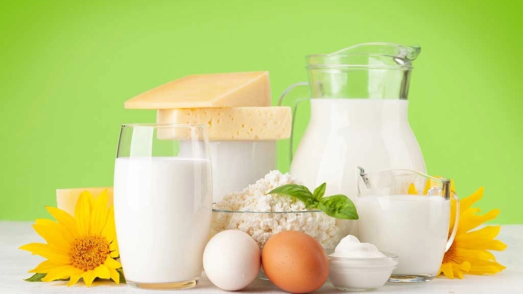 آوای لبنیات، تولید و پخش محصولات لبنی در رشت