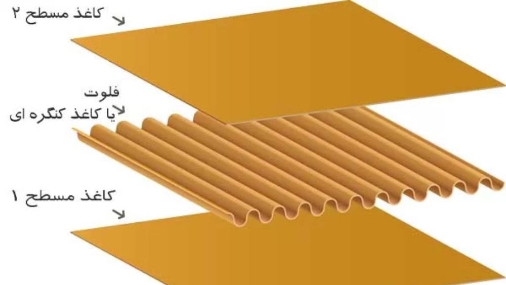 کارتن سازی روژهلات
