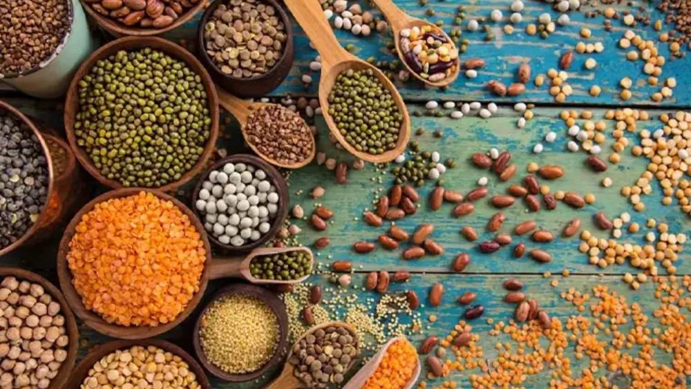 فروش حبوبات
