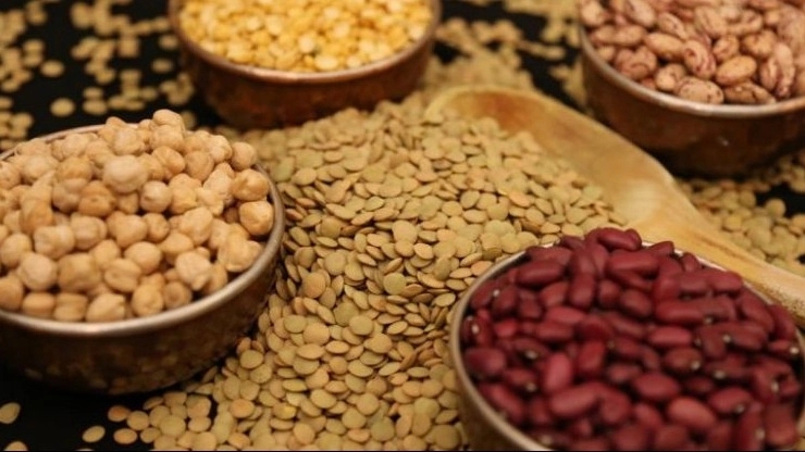 فروش انواع حبوبات