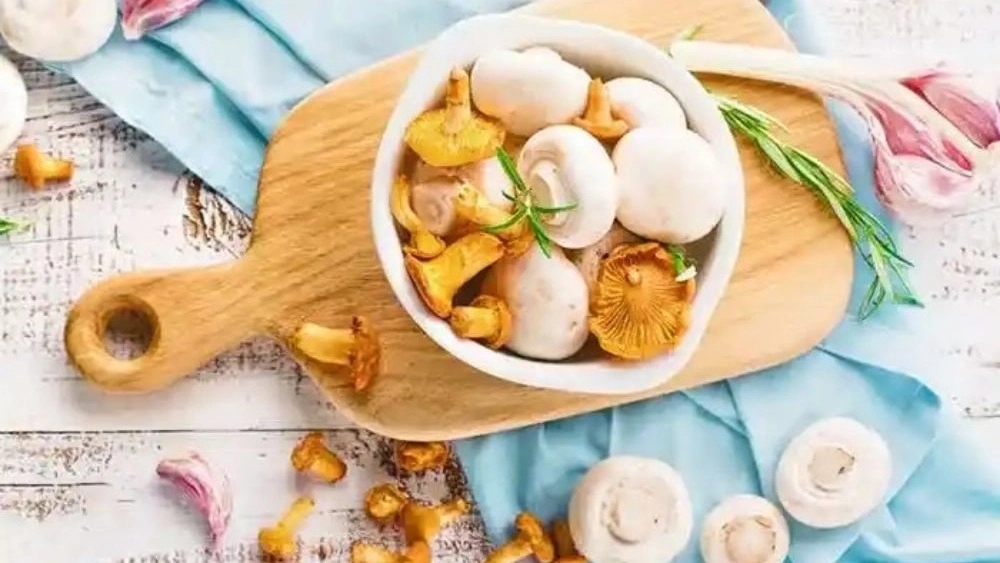 پرورش قارچ دکمه ای