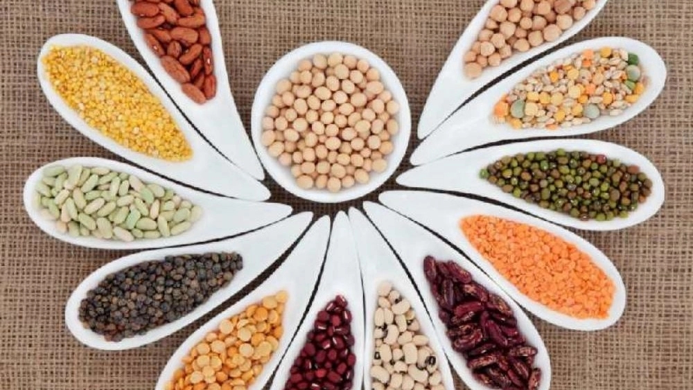 حبوبات فله ای عمده
