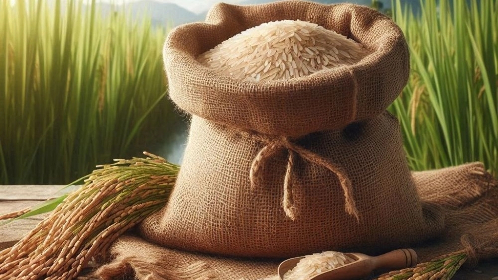خرید مطمئن برنج فریدون‌کنار؛ راهنمای انتخاب برنج اصل طارم و هاشمی از فروشگاه ارگانیک مارکت
