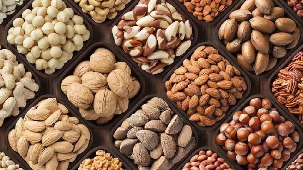 صادرات خشکبار حیدری، خرید  فروش انواع میوه خشک و آلو بخارا در نیشابور