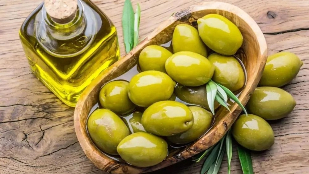 بازرگانی تیدا، تولید و فروش عمده زیتون در رودبار