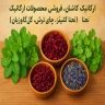 ارگانیک نوین، فروش عمده و جزئی شوید خشک در کاشان