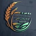 کارخانه برنجکوبی طلای سبز صالحی، تولید برنج عنبر بو محلی در اهواز