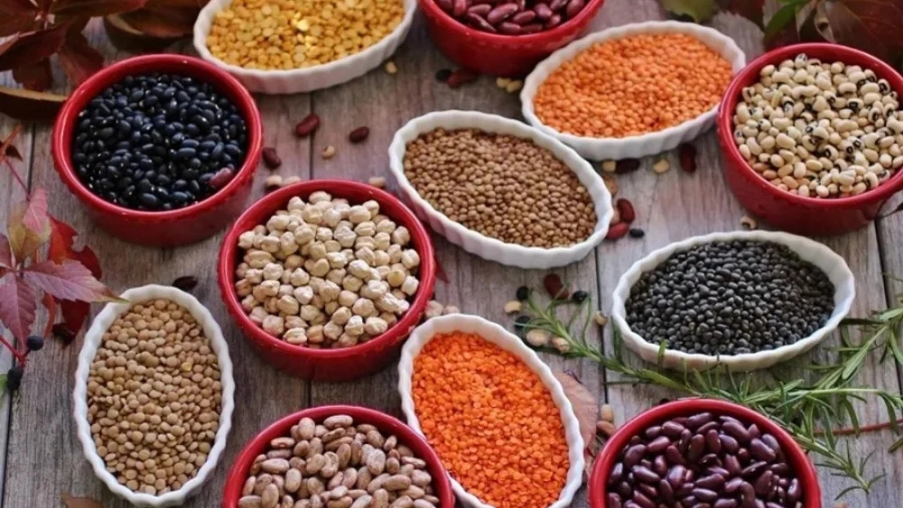 انبار پایدار، بوجاری سورتینگ حبوبات در اصفهان