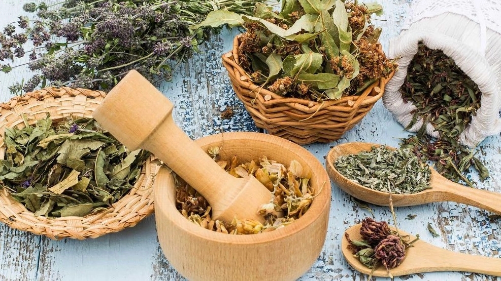 شهرانوش، تامین و توزیع گیاهان دارویی در شیراز