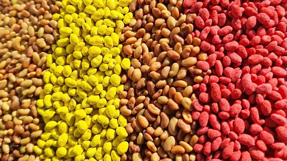 بذر خالص و آماده کشت در شیراز