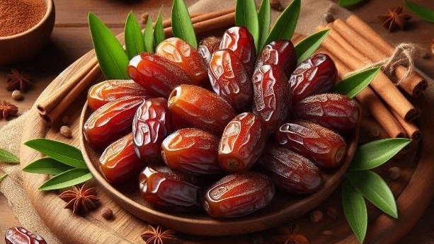 خرمای بوشهر؛ چرا خرما سرای تاوا انتخابی بی‌نظیر برای سلامتی است؟