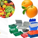 تولیدی برارنژاد، تولید انواع سبد میوه در بابل