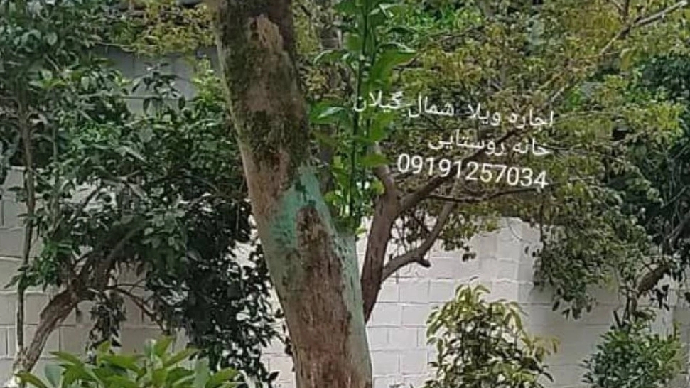 بوم گردی گیل آوا، اجاره ویلا و اقامتگاه در روستای خشکلات گیلان