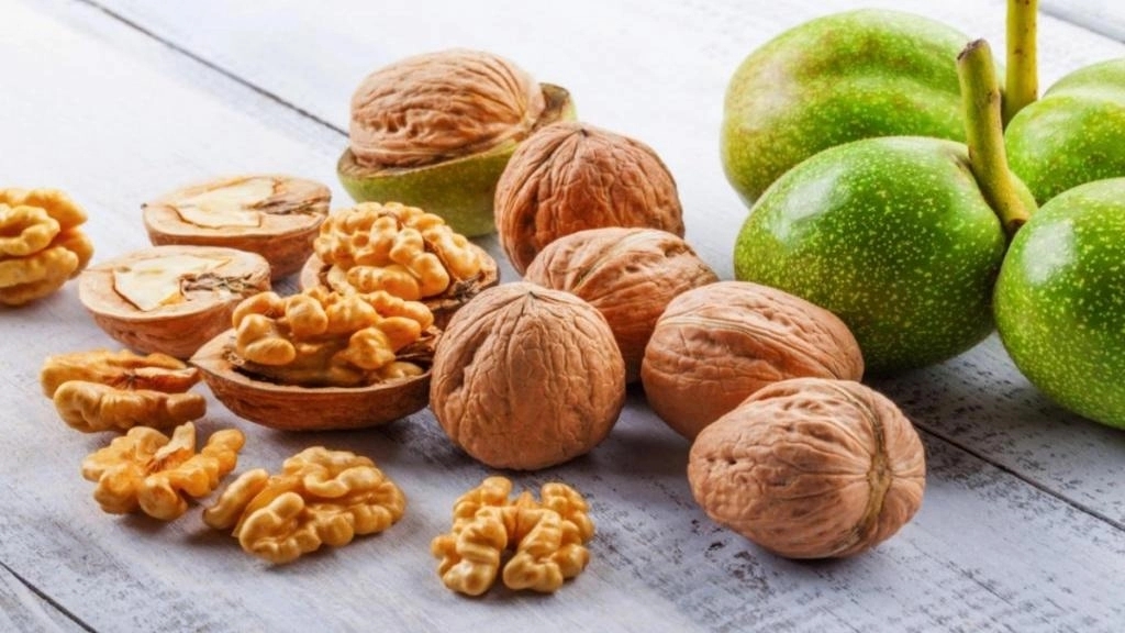سوغات دایان، فروش انواع خشکبار عرقیات زعفران برنج و چای در بجنورد