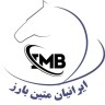 شرکت ایرانیان متین بارز، تولید فروش انواع وزنه بالانس و قطعات اتومبیل در مشهد