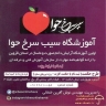 آموزشگاه سیب سرخ حوا، آموزش مراقبت و زیبایی پوست در قزوین