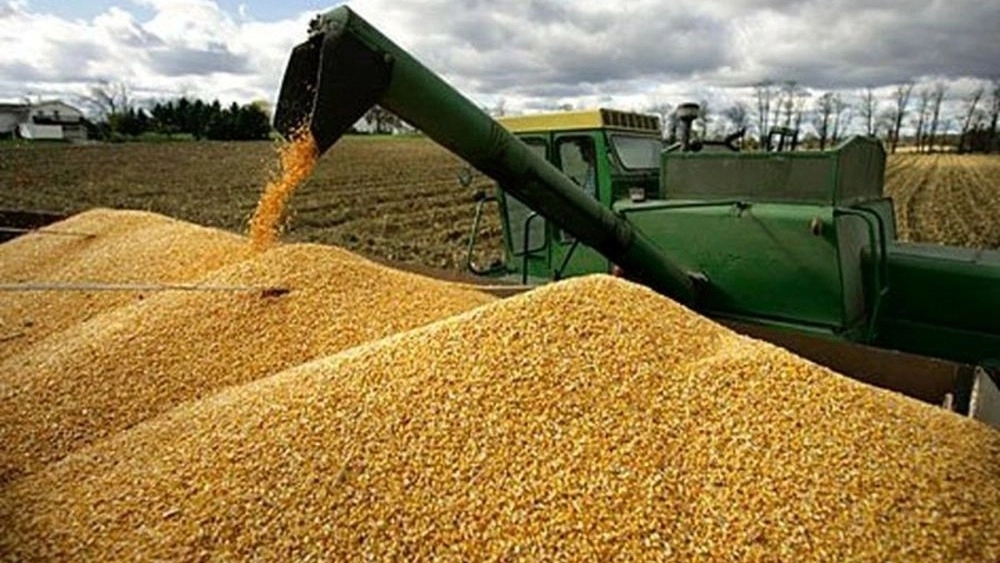 مزایای بوجاری طوماری برای حبوبات و غلات
