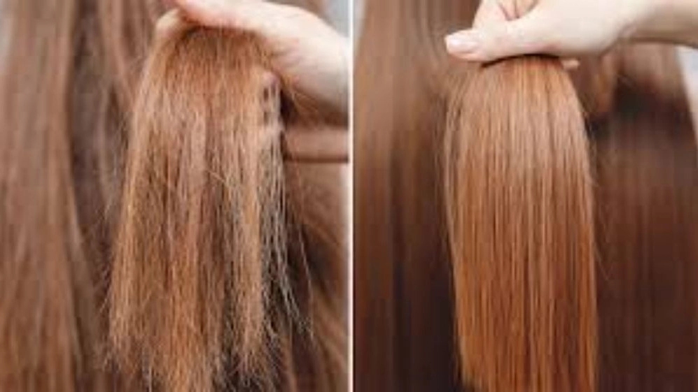 خدمات تراپی مو پریا، کراتین پروتئین و بوتاکس مو در رشت