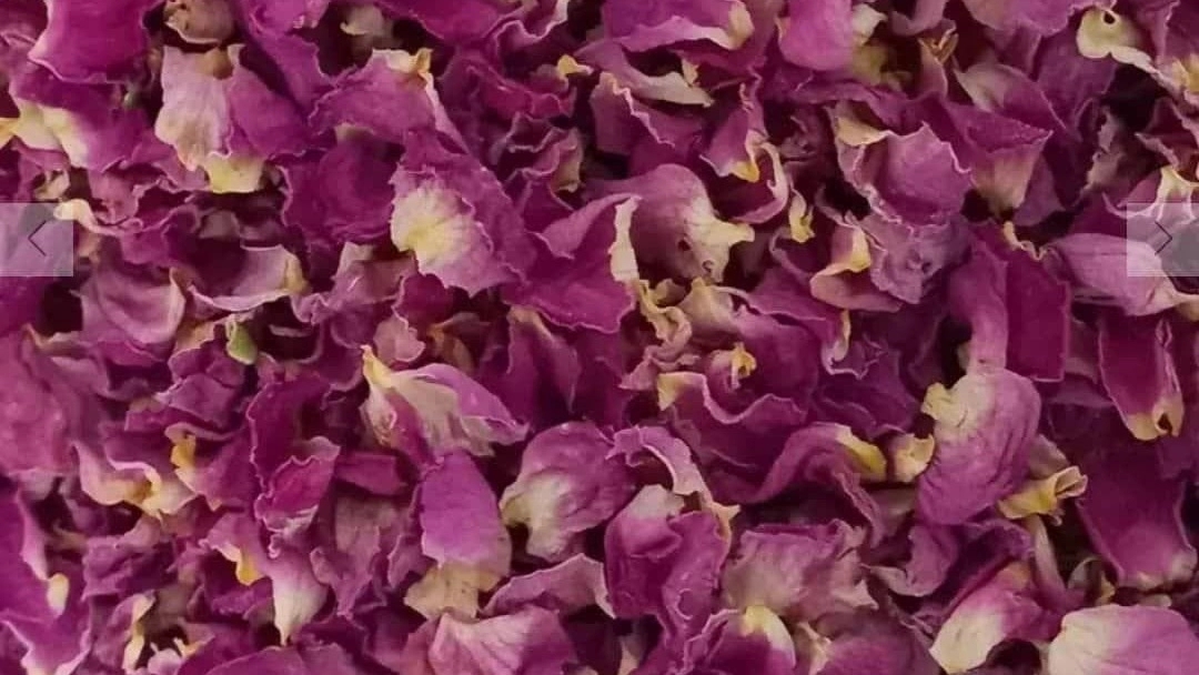 پر مربایی گل محمدی با قیمت مناسب