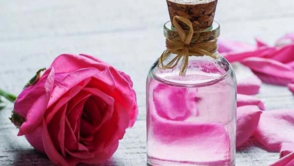گلاب خانگی آذربایجان در ارومیه؛ بهترین انتخاب برای سلامت و آرامش