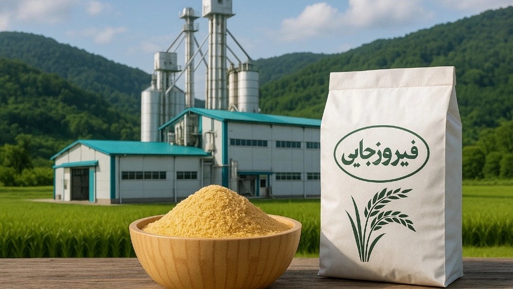 دوکوب کامپیوتری در بابل