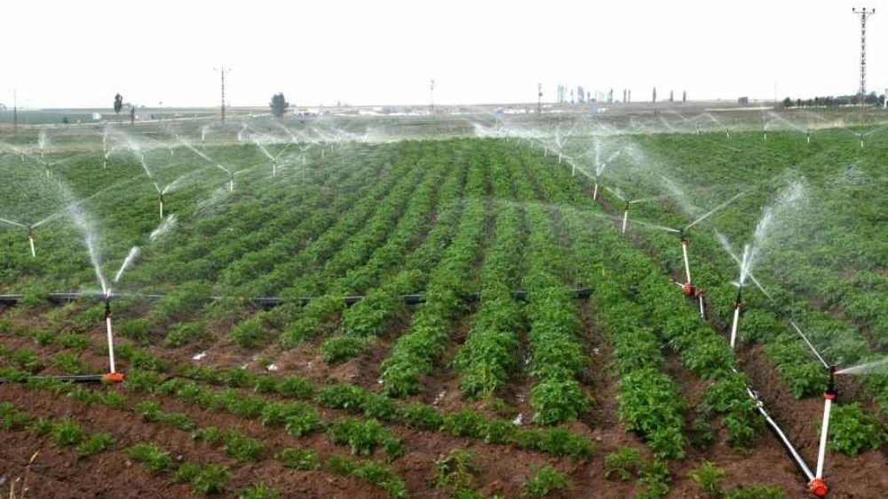 شرکت آبیار صنعت گلپایگان، تولید مه پاش خانگی و صنعتی تایمر آبیاری در تهران