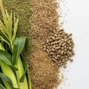 خوراک دام اسدی، فروش یونجه تفاله خشک تر و علوفه ذرت در آذربایجان غربی چهاربرج