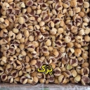 انجیر شاهسوند، فروش و صادرات انجیر خشک در شیراز