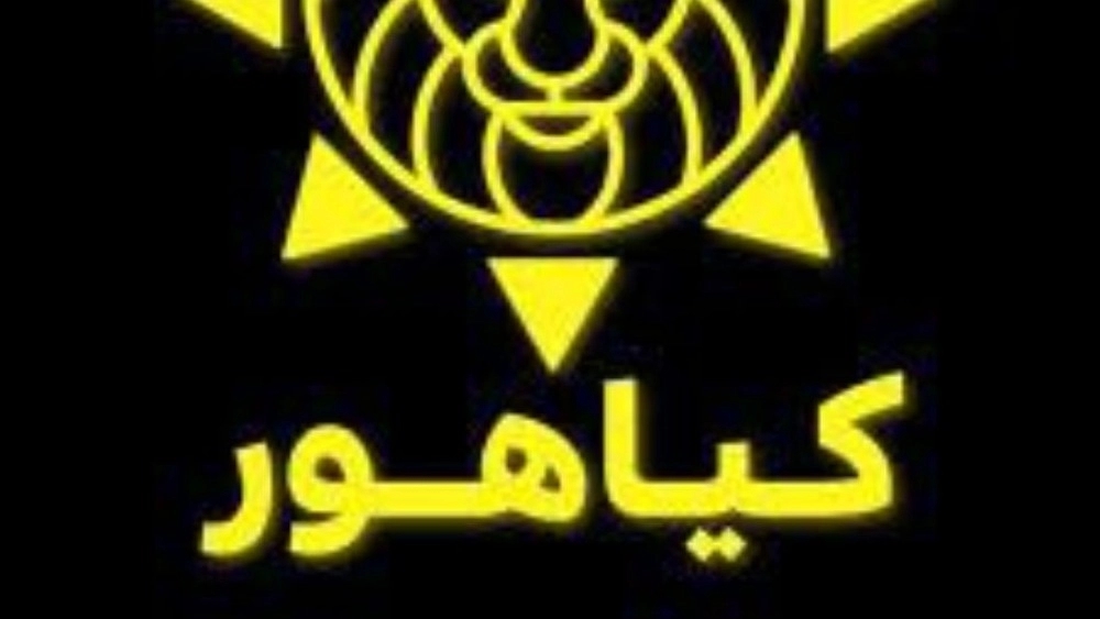 فروشگاه کیاهور، فروش پخش انواع لوازم خانگی برقی اورجینال در بانه
