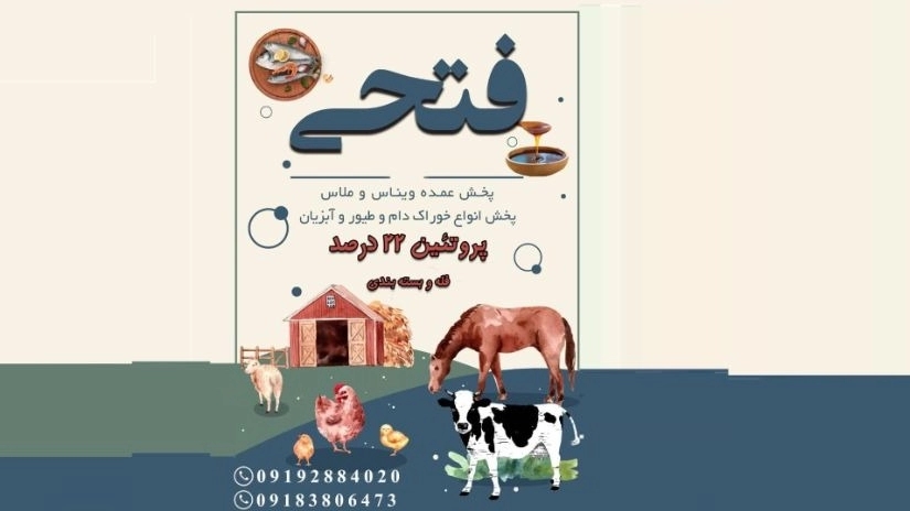 خرید خوراک مرغ با ملاس و ویناس در قزوین