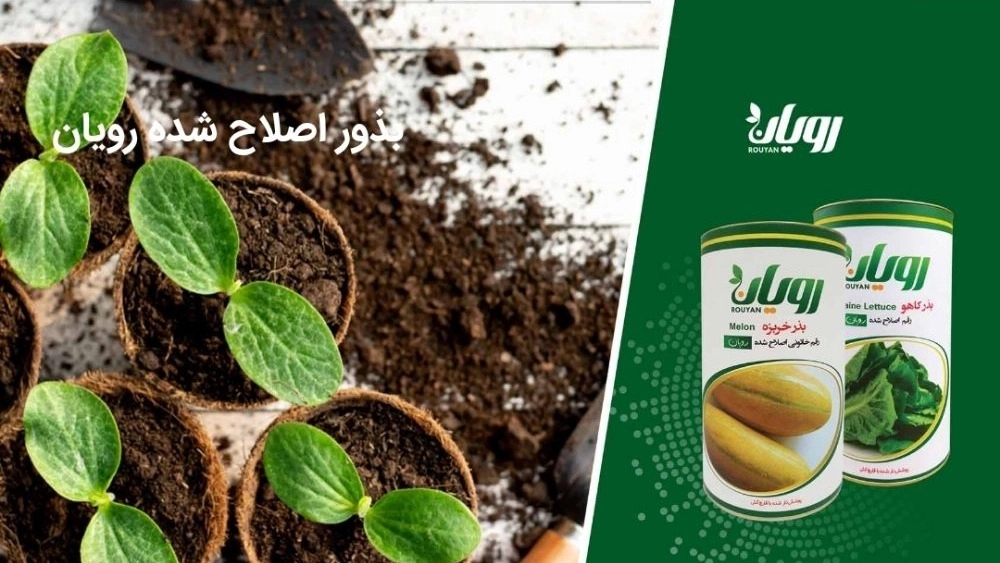 شرکت زیست فناور سبز، صادرات کودهای زیستی و بیولوژیک در تهران