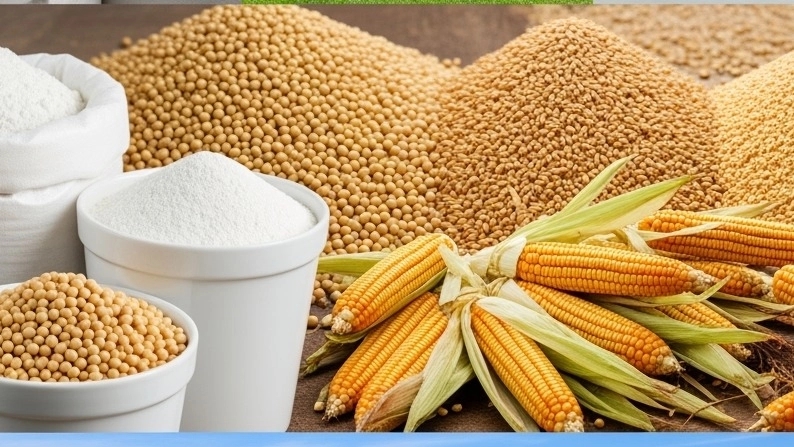 فروش مکمل دامپروری شرکت جهان پودر پروتئین
