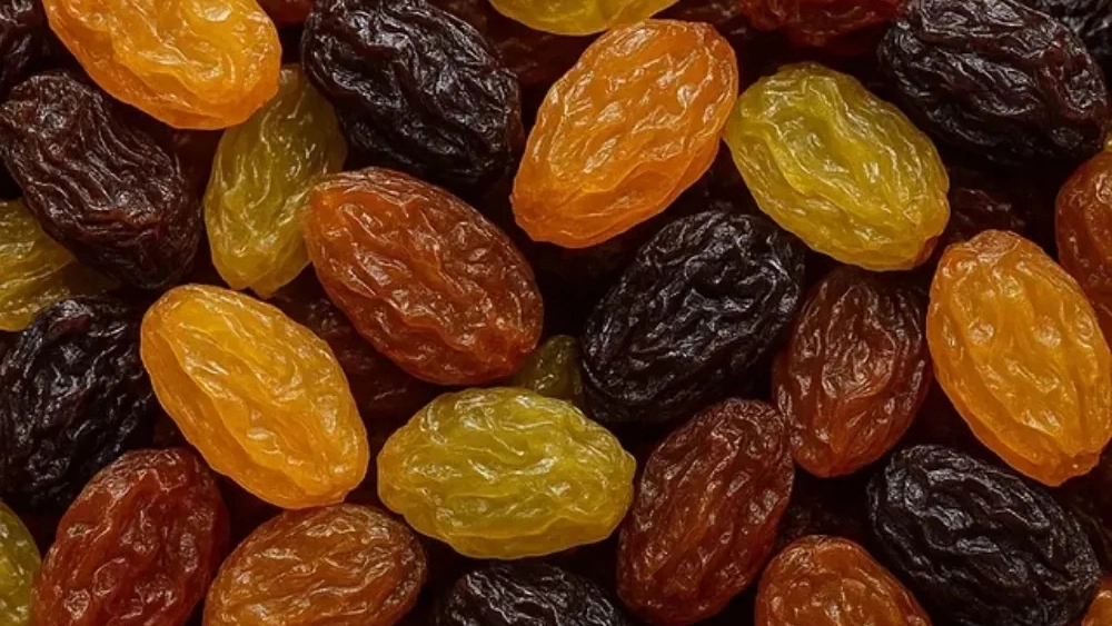 خشکبار متین، صادرات و تولید پسته و کشمش در تهران