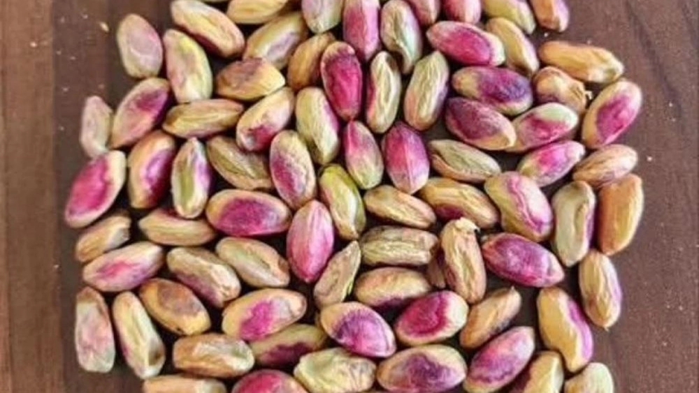 بهترین نوع پسته صادراتی