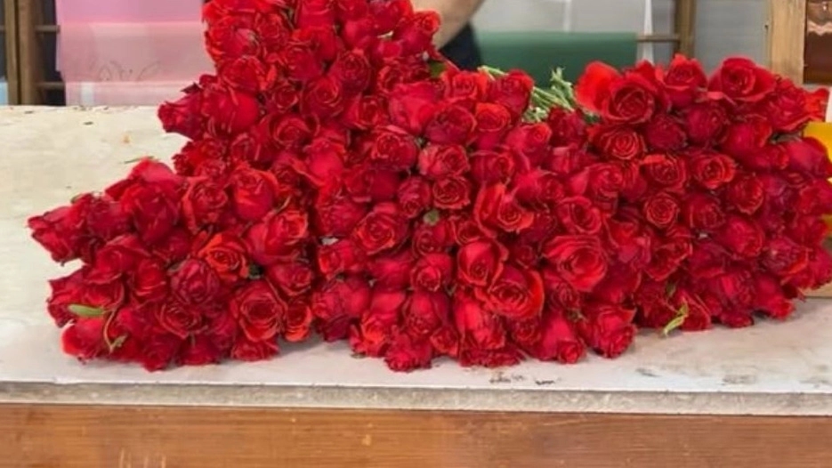 گلخانه آریس، فروش انواع گیاه آپارتمانی دسته گل و گل آرایی ماشین عروس در تهران