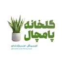 گلخانه پامچال، فروش انواع گیاهان آپارتمانی نهال میوه و درختان زینتی در کاشان