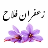 زعفران فلاح، تولید و فروش زعفران سنتی در راز و جرگلان خراسان شمالی