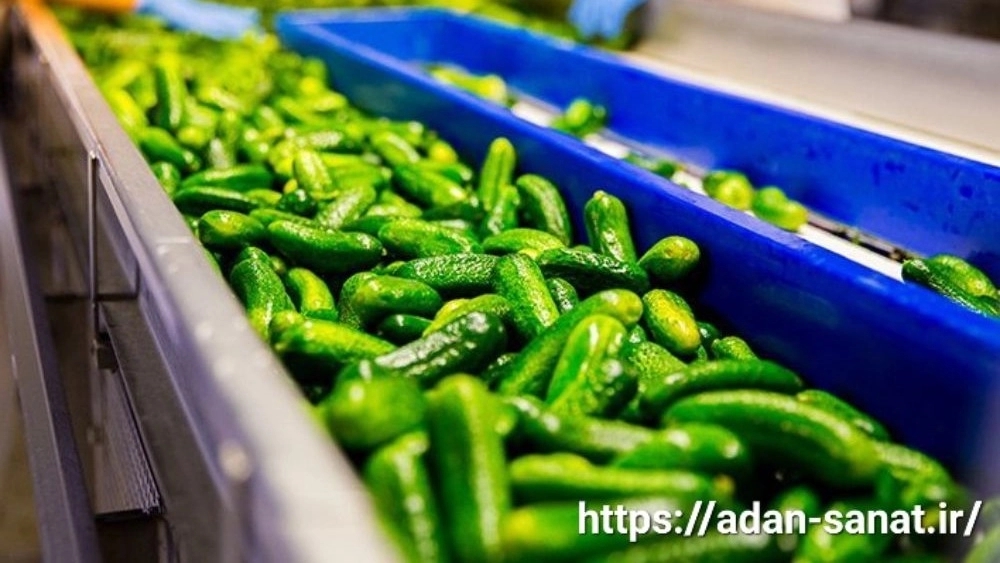 راهنمای جامع خرید خط تولید خیارشور و ترشیجات در شیراز نکات تخصصی و معرفی بهترین تجهیزات