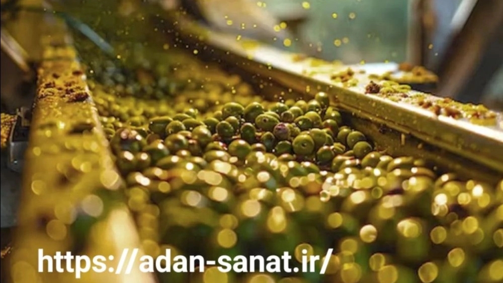 خط تولید کنسرو زیتون در شیراز