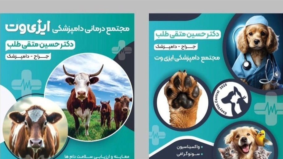 مجتمع دامپزشکی ایزی وت، خدمات درمان و جراحی حیوانات خانگی در رشت