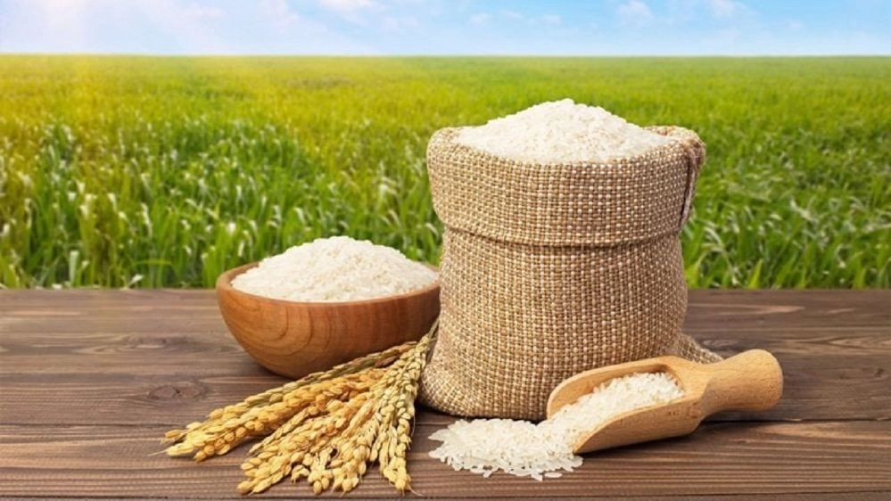 قیمت خرید عمده برنج در مشهد