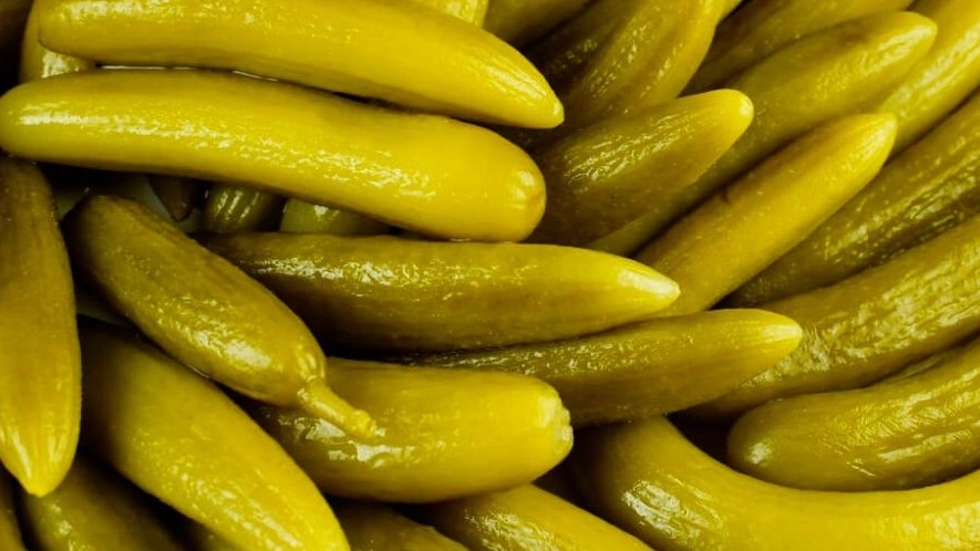 تولیدی زاهدی، تولید و پخش خیارشور در بیرجند