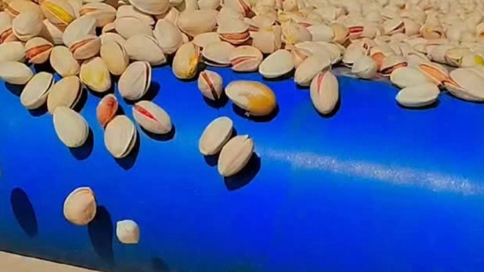 خشکبار دهقان، خرید و فروش پسته در بردسکن خراسان رضوی